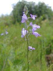 �}�c�o�E������