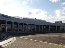 �v�쑍���������