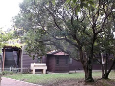 ���Ȃ݂̊w�� ���C��