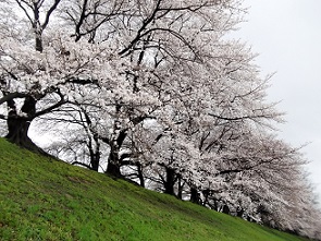 �����w�����