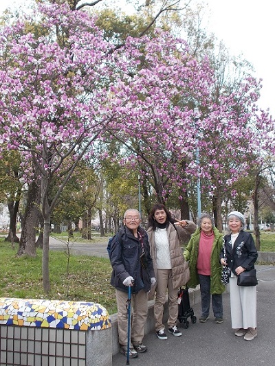 関西単身けん十三公園花見