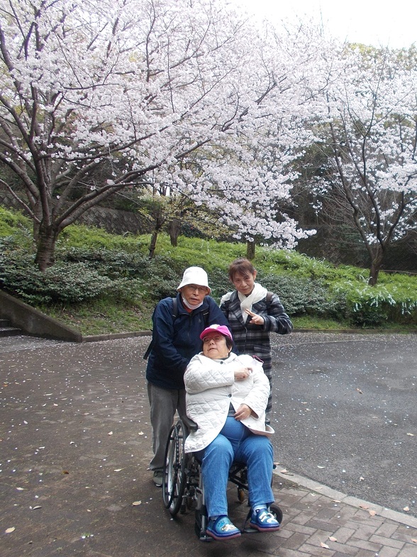 鶴見緑地お花見